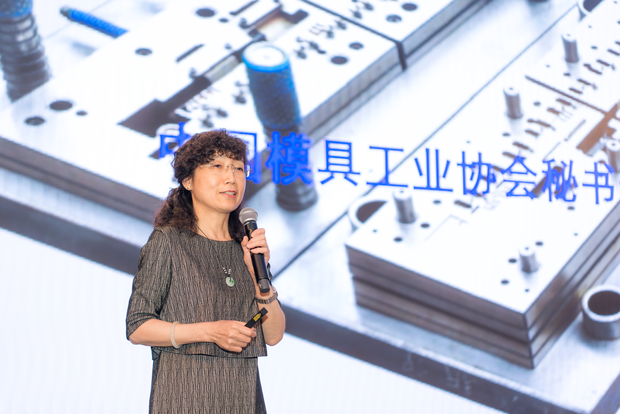 模具研討|“智造”落地，思瑞三坐標(biāo)助力“數(shù)字北侖”建設(shè)(圖2)