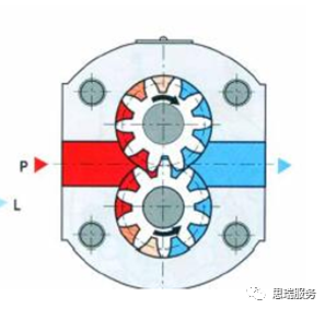 三坐標(biāo)檢測案例 | 齒輪式與擺線式液壓馬達檢測重點！(圖3)